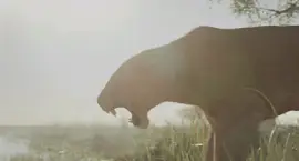 Eshe roaring at crocodile jigsaw puzzle