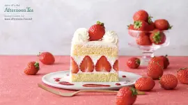 פאזל של Chacott 15