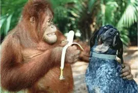 c 'mon! one bite won 't kill you!