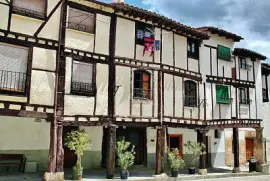 Flamengo en Covarrubias