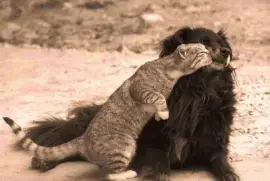 don 't be shy...give us a kiss