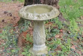Bird Bath