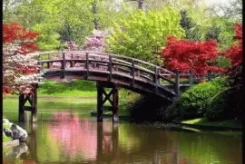 Jardin en japon