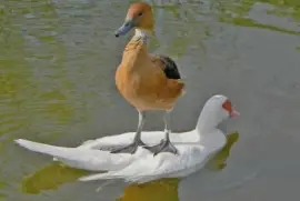 פאזל של Hitching a Ride