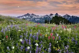 tatoosh range