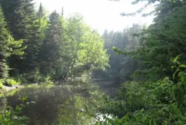 Each day gives a different view...