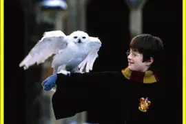 Harry Potter y su bÃºho nival