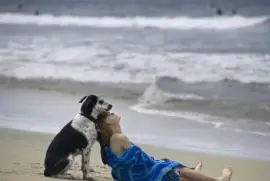 פאזל של Imagenes