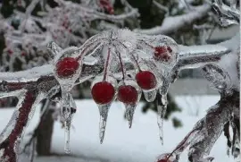 פאזל של Imagenes