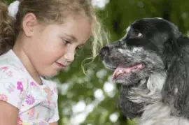 פאזל של Imagenes