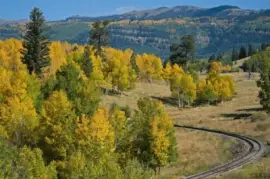 פאזל של on the road in Mexico