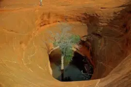 פאזל של Dance hall rock Utah