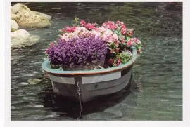 Flower Boat
