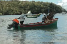 pÃ©cheur en Martinique