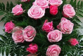 rosas