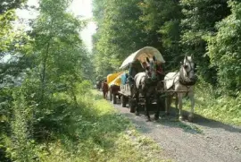 covered wagon jigsaw puzzle