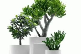 modern pots jigsaw puzzle