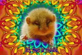 FaraÃ³n jigsaw puzzle