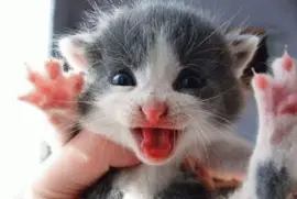 be afraid! be very afraid!