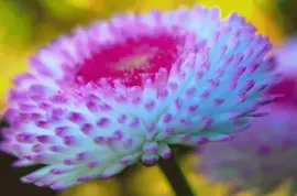 פאזל של Nice Flower