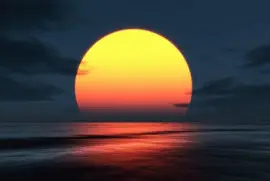 Netzbild jigsaw puzzle