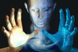 Netzbild jigsaw puzzle