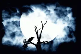 Netzbild jigsaw puzzle