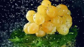 Netzbild jigsaw puzzle