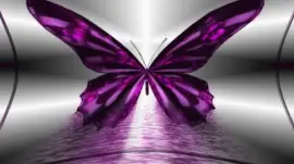 Netzbild jigsaw puzzle