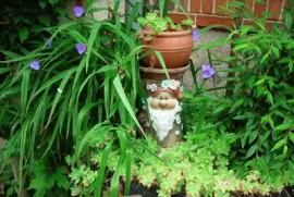 פאזל של jardin