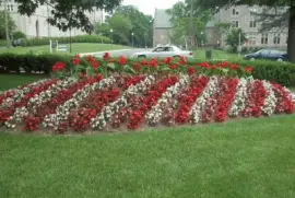 JARDINES WASHINTONG.