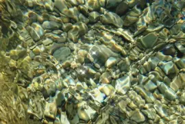 Â¡que agua mas clara!