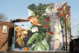 פאזל של dreams of home