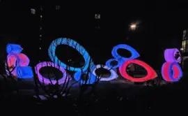 פאזל של fish bellies