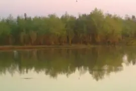 פאזל של PAISAJE