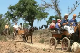 the country cooking school