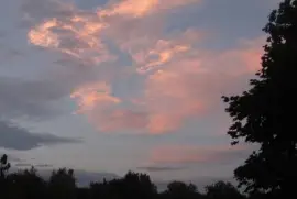 Rose coloured clouds at sunset