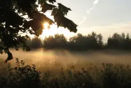 Each new dawn brings new hope