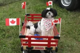 Happy Canada Day everyone