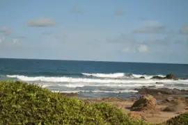 Jardim da Alah jigsaw puzzle