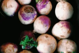 at the farmer 's market