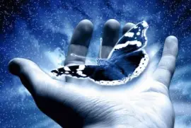 la natualeza en tus manos cuidala