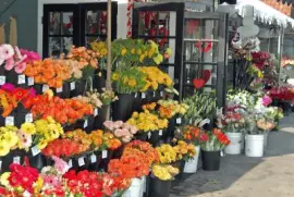 flower market