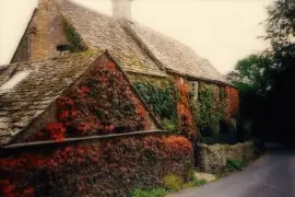 autumn cottage