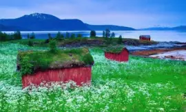 פאזל של paisaje