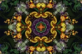 beautiful forest flowers