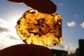 ancient carved amber
