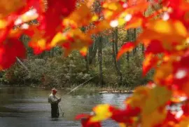 fall fishing