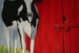 Penny 's cow