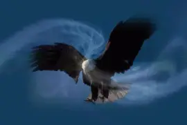 energÃ­as de Ã¡guila real